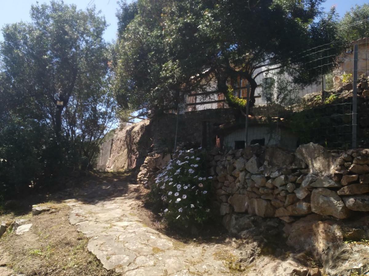 Villa Ca Da Marta Q4526 à Carloforte  Extérieur photo